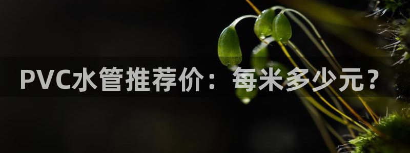 天辰娱乐官网