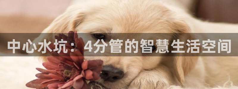 天辰娱乐 18113