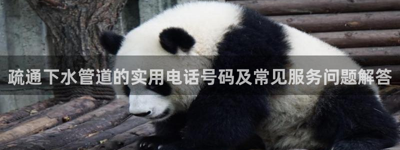天辰娱乐天辰宝