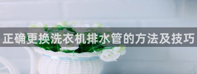 天辰娱乐简介