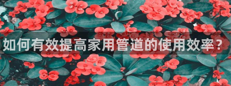 天辰娱乐 首选
