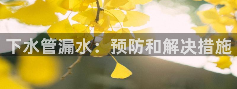 天辰娱乐557696