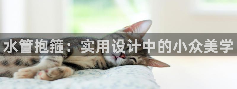 南京天辰娱乐