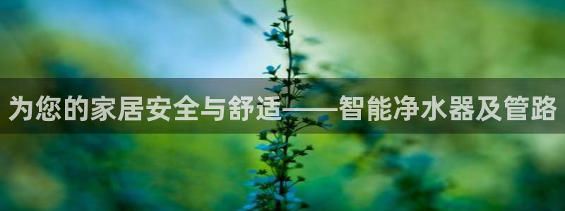 天辰娱乐61116
