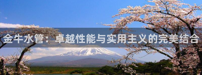 天辰天辰娱乐