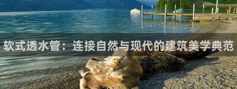 天辰娱乐平台地址