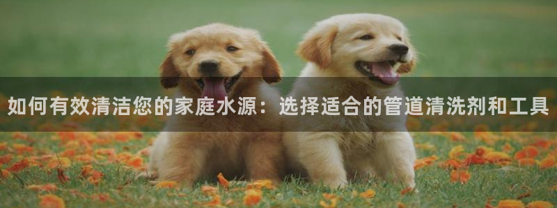 天辰娱乐481928
