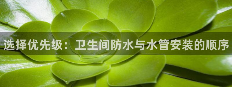 天辰娱乐鱼刺
