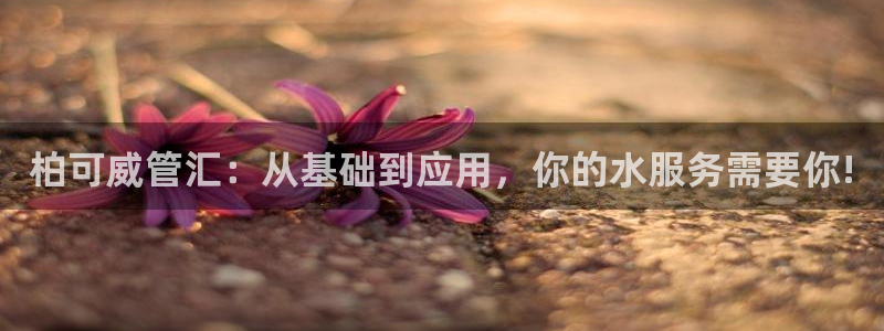 天辰娱乐