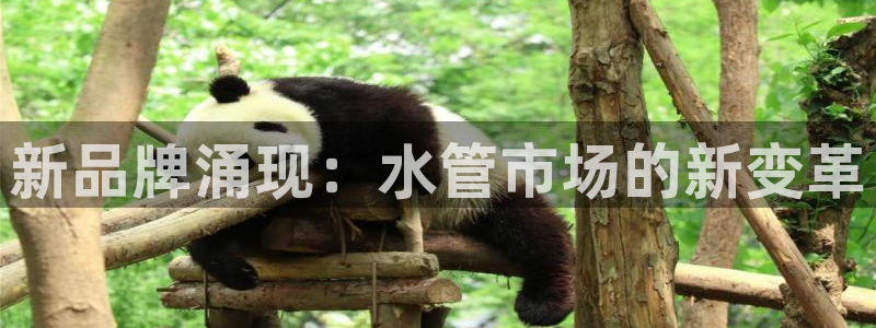 天辰娱乐说