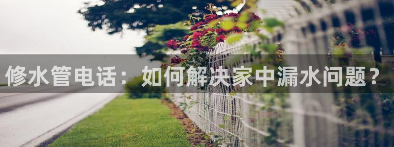 天辰娱乐61116