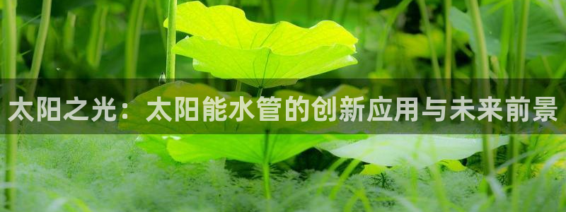 天辰娱乐首页