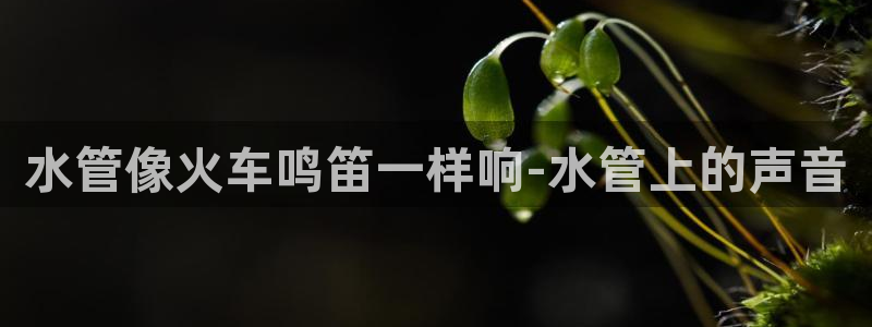 常州天辰娱乐