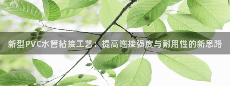天辰娱乐在线