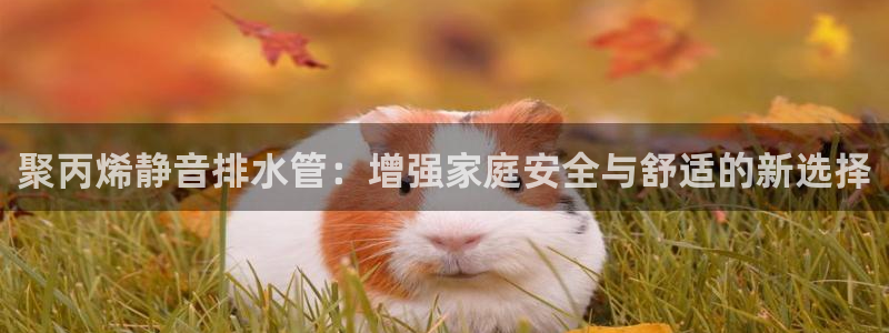 天辰娱乐总管