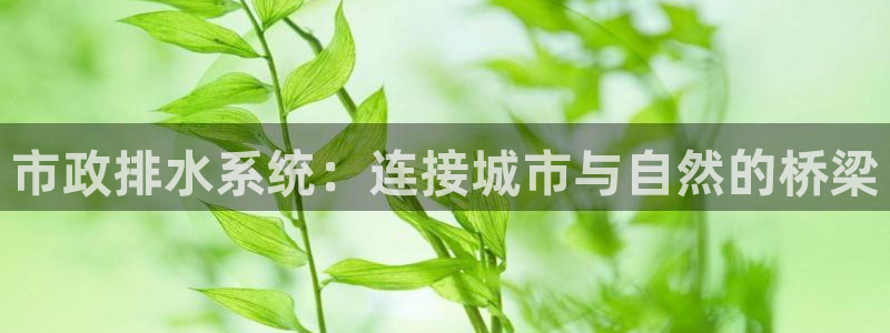 天辰彩票娱乐