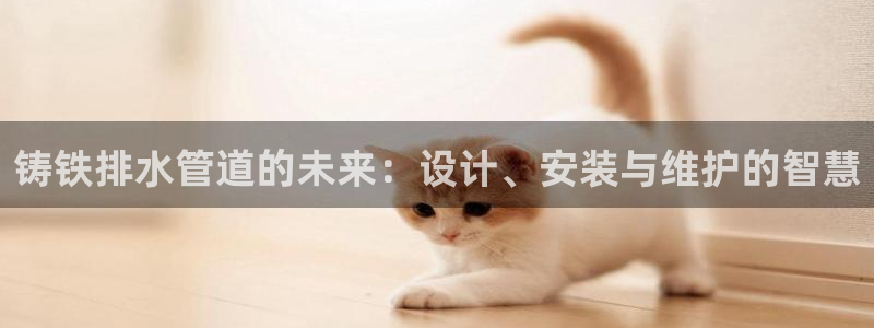 天辰娱乐所