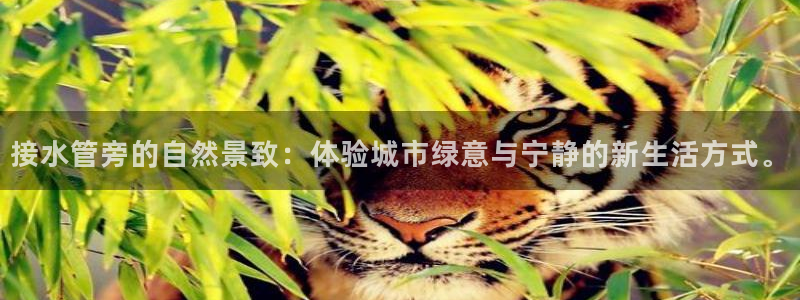 天辰娱乐官方