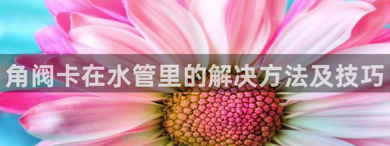 天辰娱乐新
