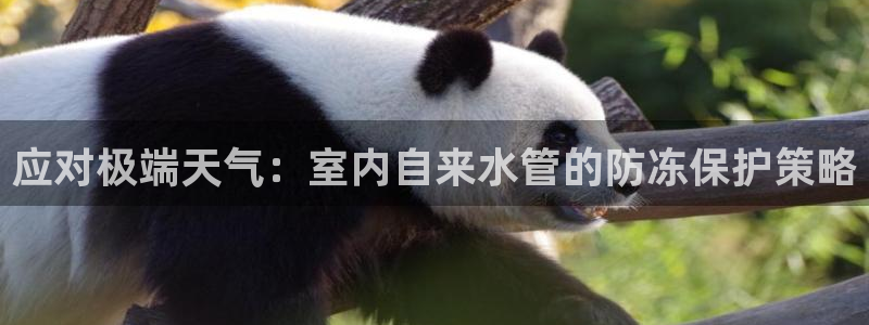 天辰娱乐 231639