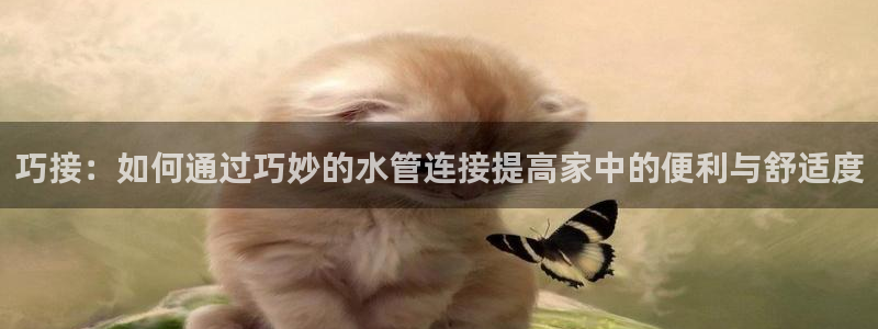 天辰娱乐游客