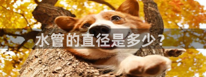 天辰娱乐885544