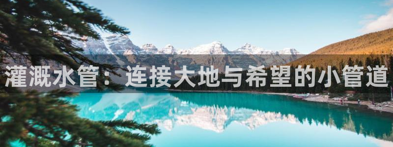 南充天辰娱乐