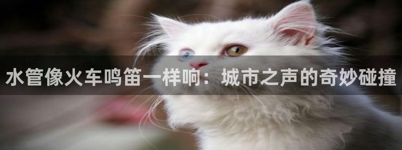 天辰娱乐软件