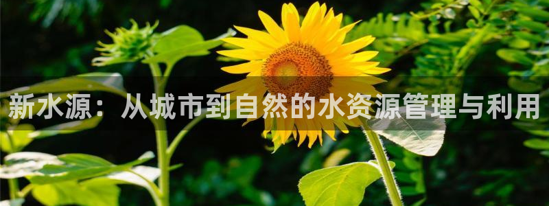 天辰娱乐下载链接
