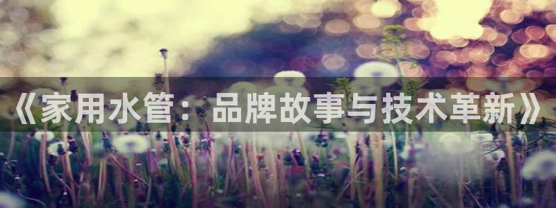 天辰娱乐路线