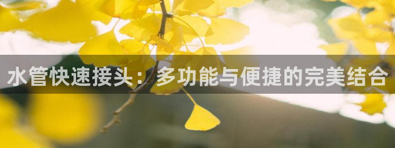 天辰娱乐登陆