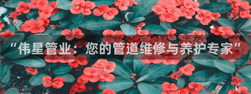 天辰娱乐扣钱