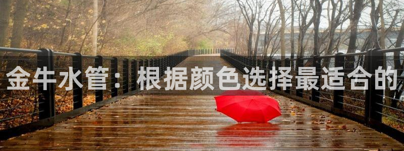 天富娱乐与天辰娱乐