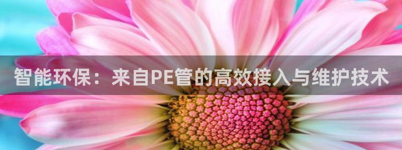 广东天辰娱乐