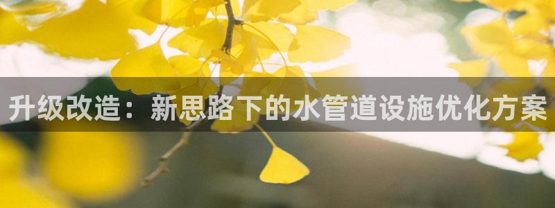 天辰娱乐平台地址