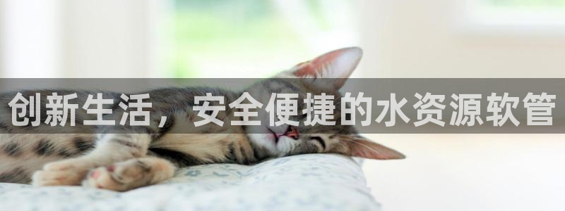 南京天辰娱乐