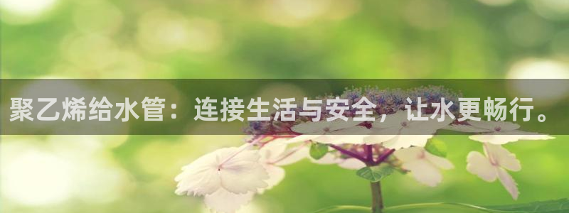 天辰娱乐53551