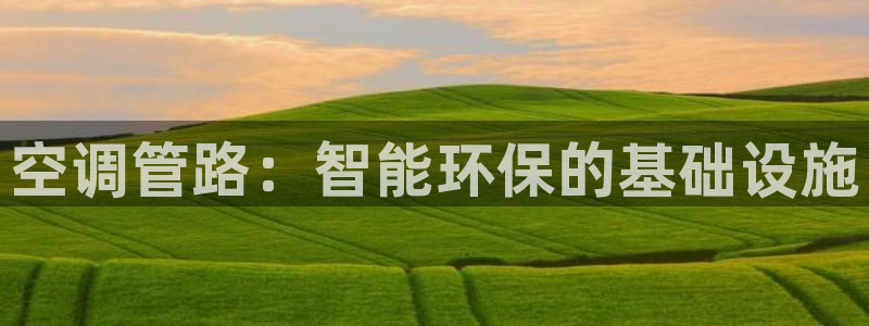 天辰娱乐的网址首页