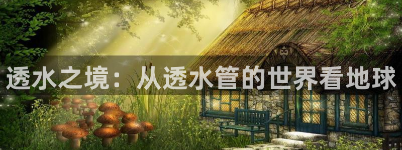 天辰娱乐平台地址在哪里