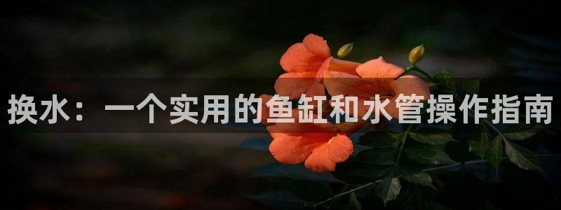 天富娱乐天辰娱乐