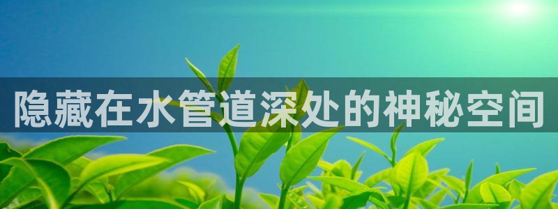 天辰娱乐APP下载