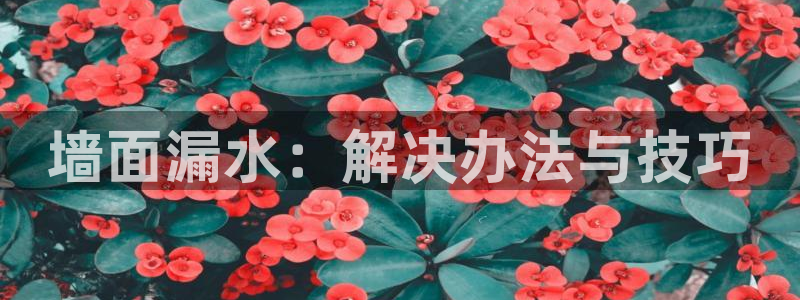 天辰娱乐指尖所