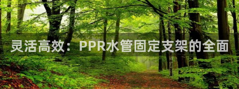 天辰娱乐官网平台下载