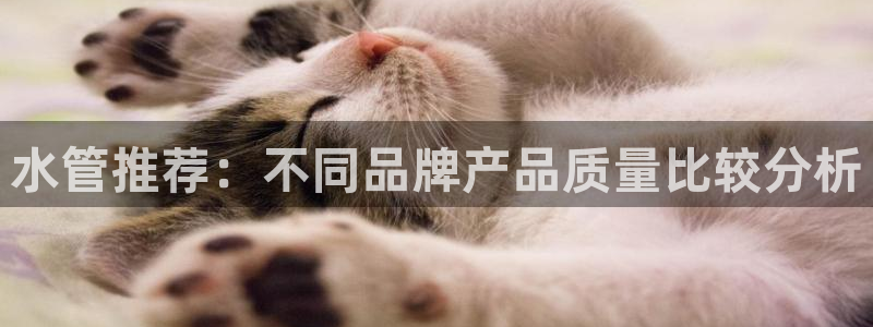 天辰娱乐平台注册