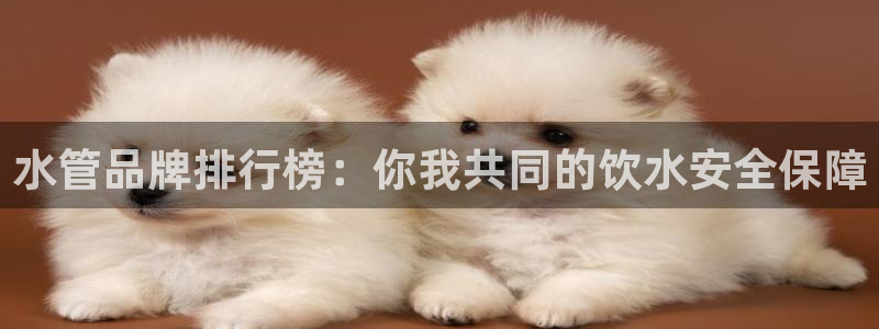 天辰娱乐十分彩