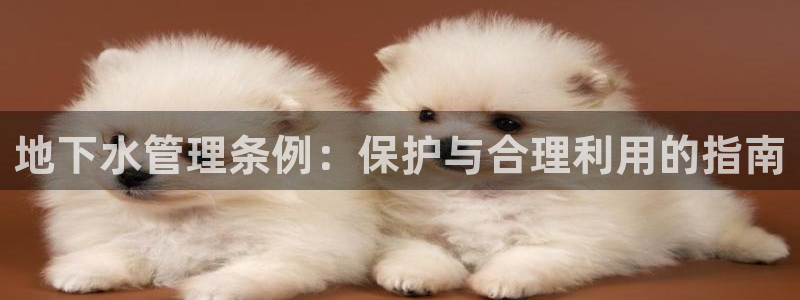 天辰娱乐平台地址在哪里